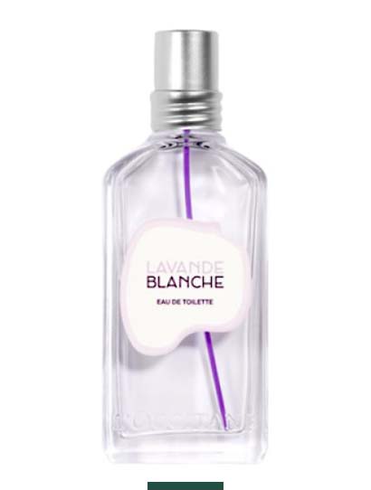 Lavande Blanche L'Occitane en Provence